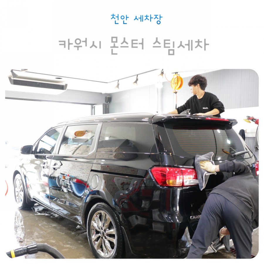몬스터스팀세차 이미지