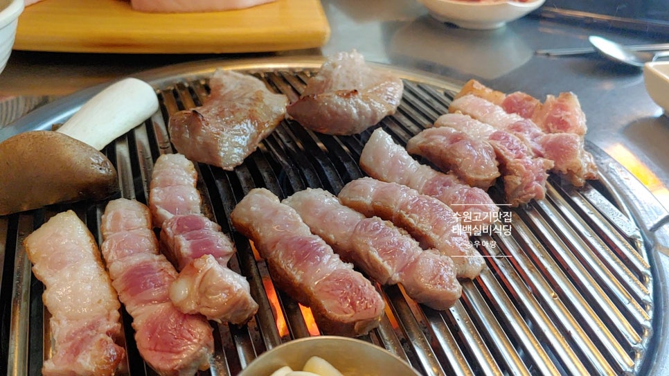 육덕후 이미지