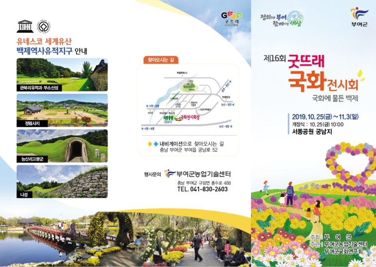 국화문화기획 이미지
