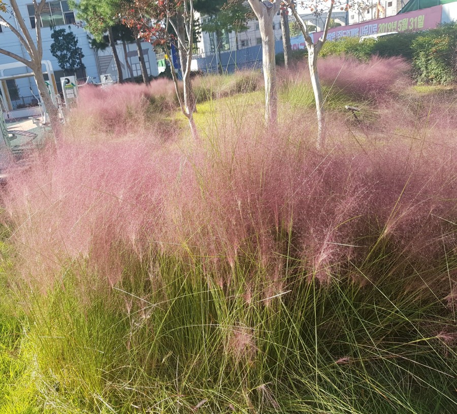 제2수창공원 이미지