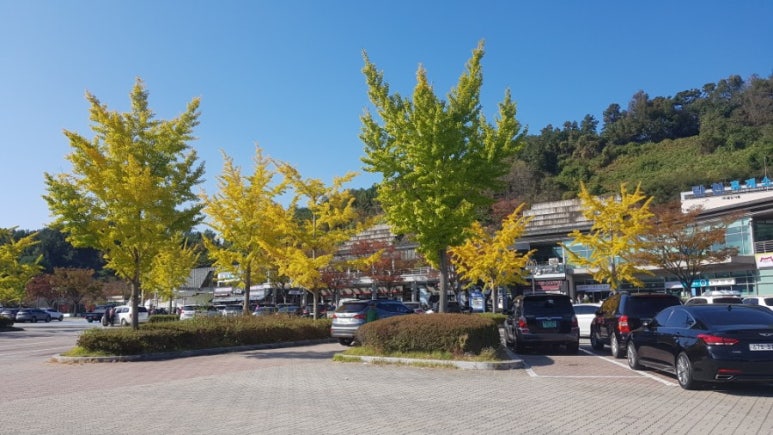 번영여행사 이미지