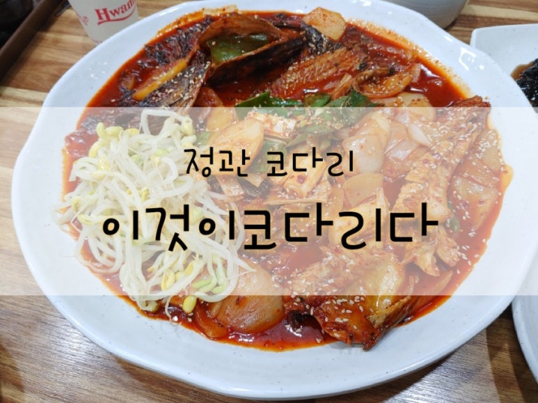 이것이코다리다 이미지