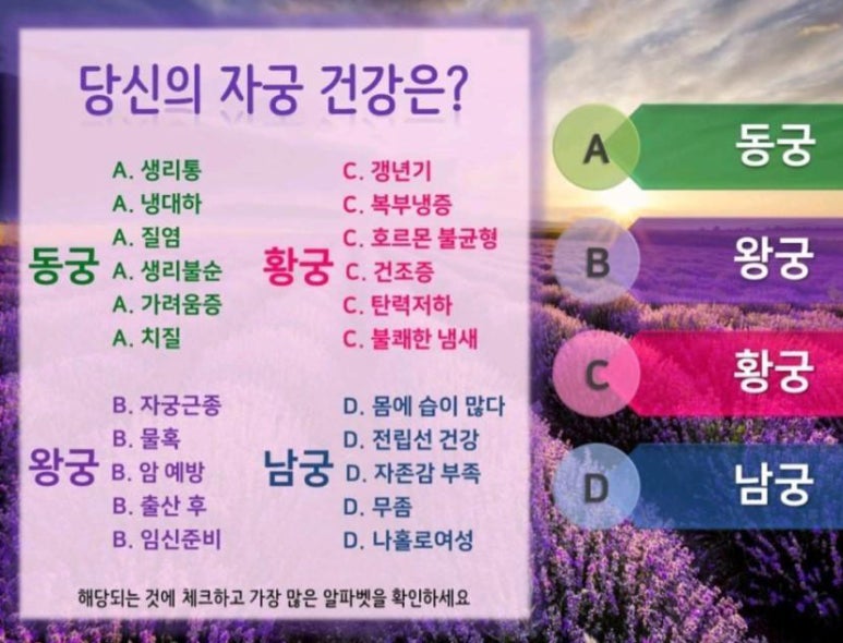 초이스궁 이미지
