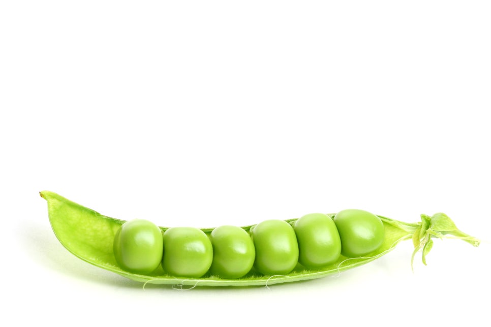 목화식품 이미지