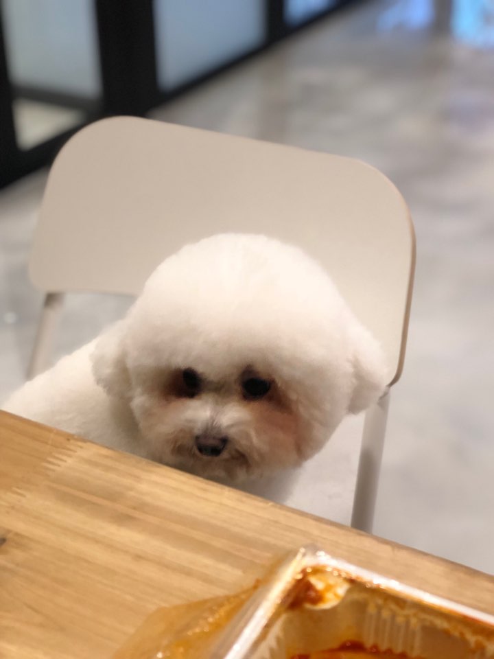 인라이크 이미지