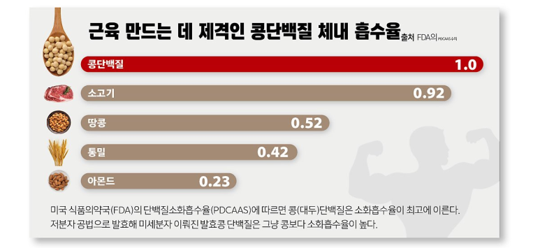 옐로우점핑 이미지