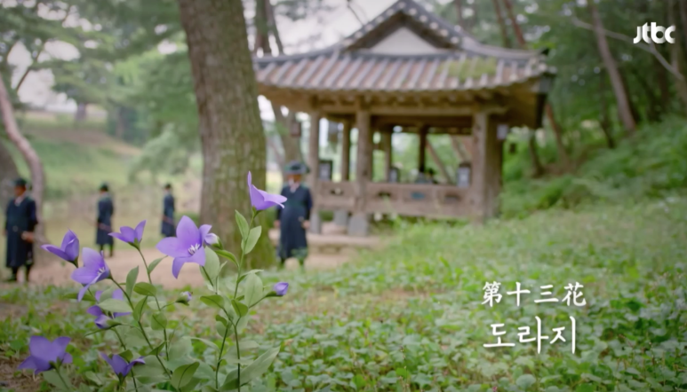 꽃소망 이미지