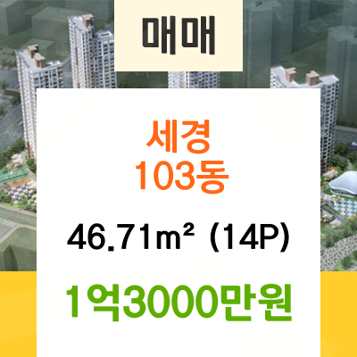 세경상사 이미지