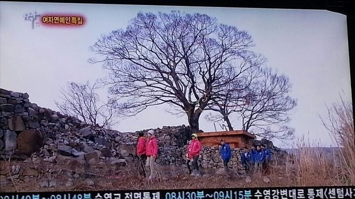 옥이민박 이미지