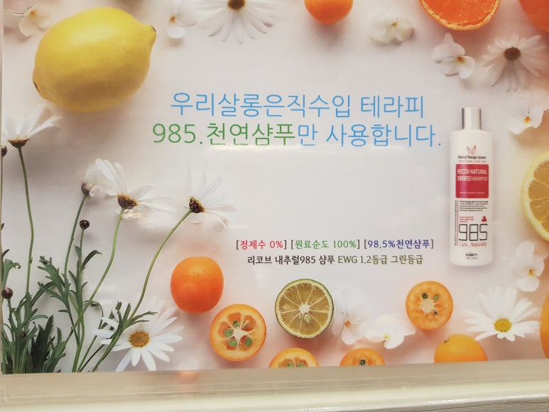 마샹스 이미지