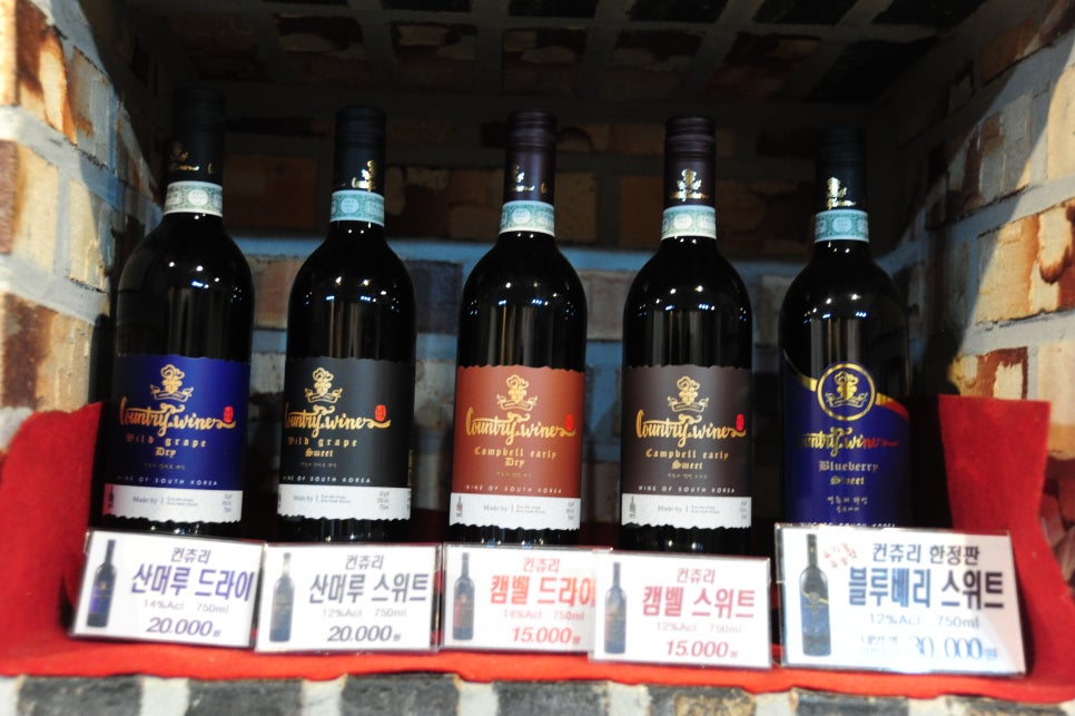 라온비주 이미지