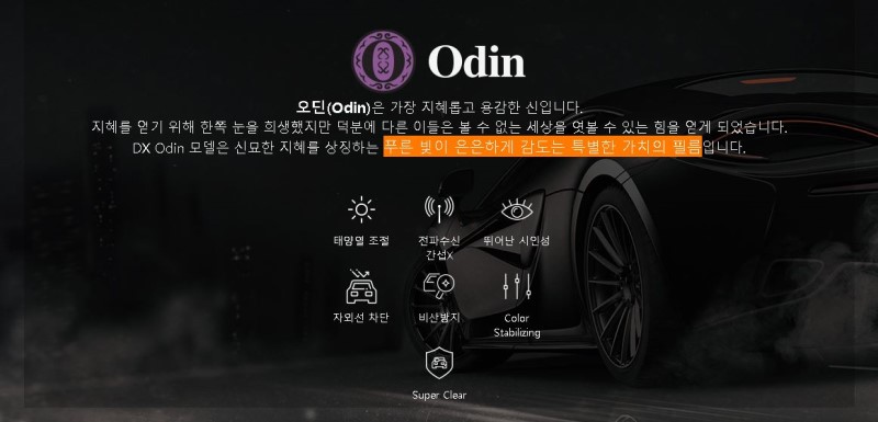 디텍 이미지
