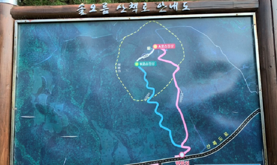 솔 투어 이미지
