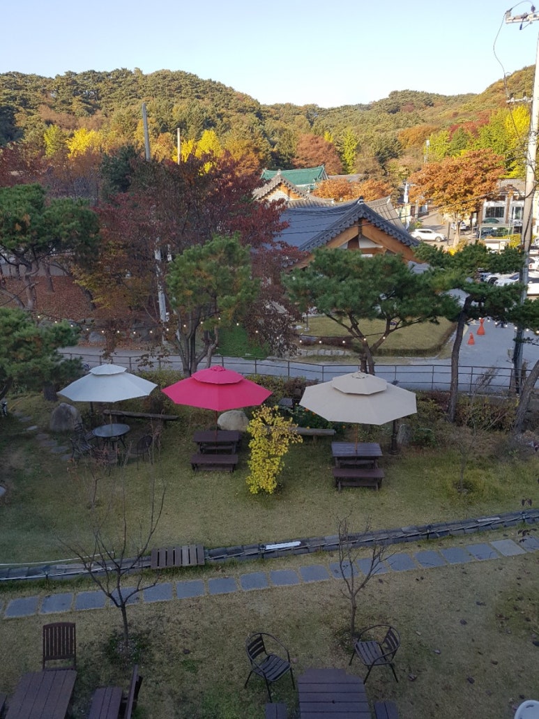 꽃길로731 이미지