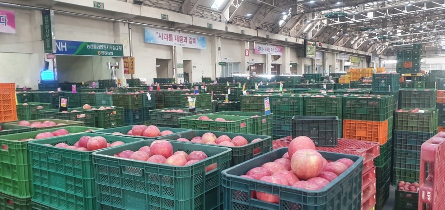 길거리농부 이미지
