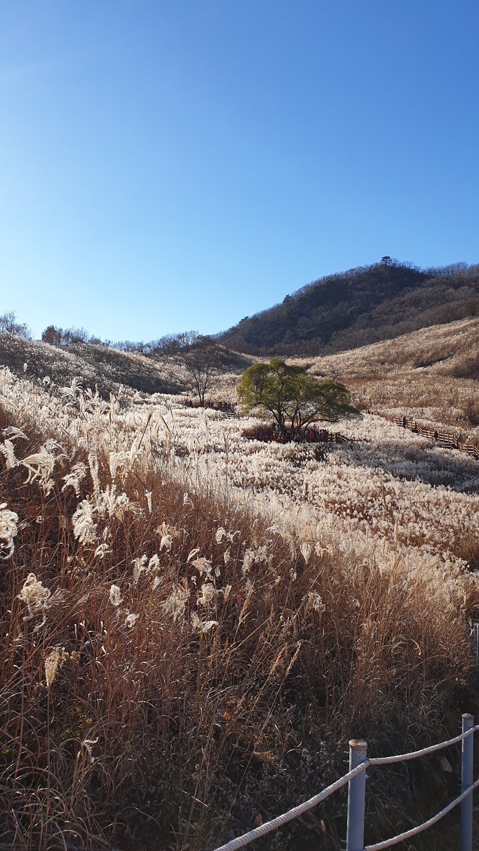 산정상 이미지