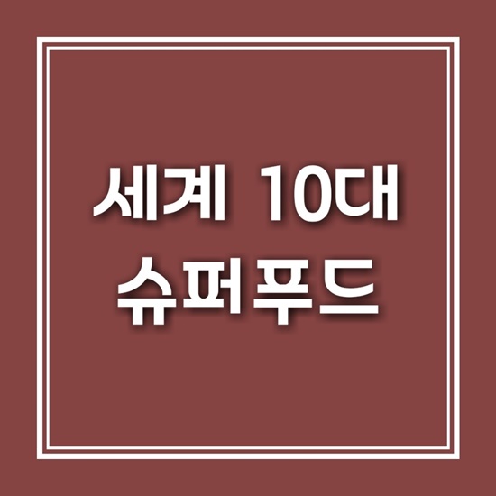 성지푸드 이미지