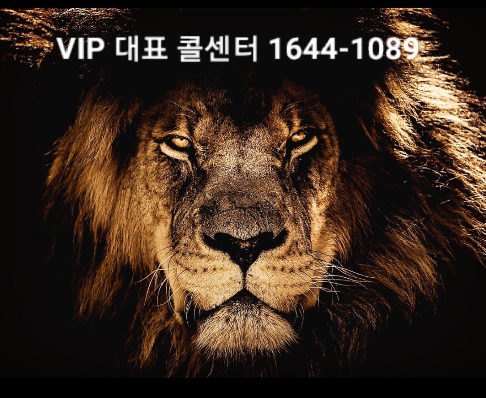 지젤쇼룸 이미지