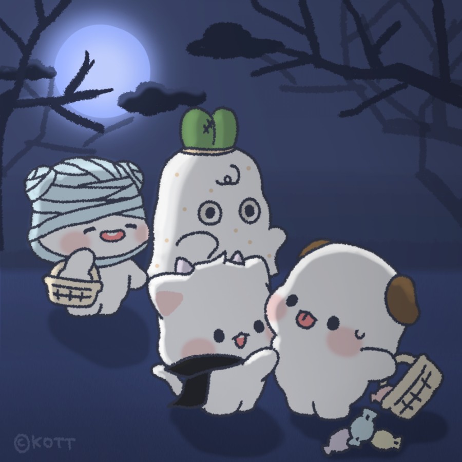 스튜디오코뜨 이미지
