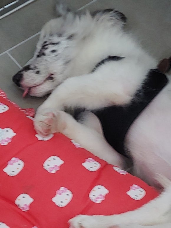 살롱드레오 이미지