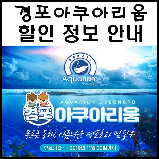 (주)경포아쿠아리움 이미지