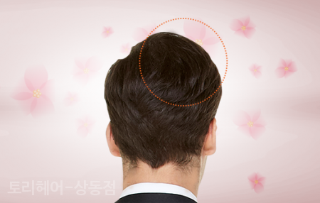 염색이야기 이미지