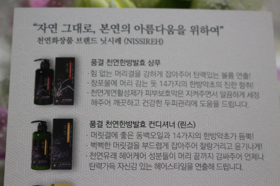 닛시레 이미지