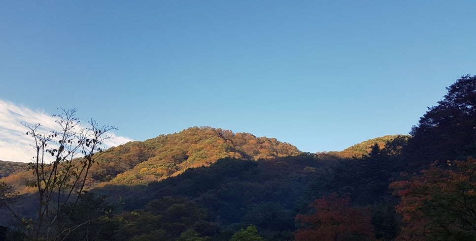 가인야영장 이미지