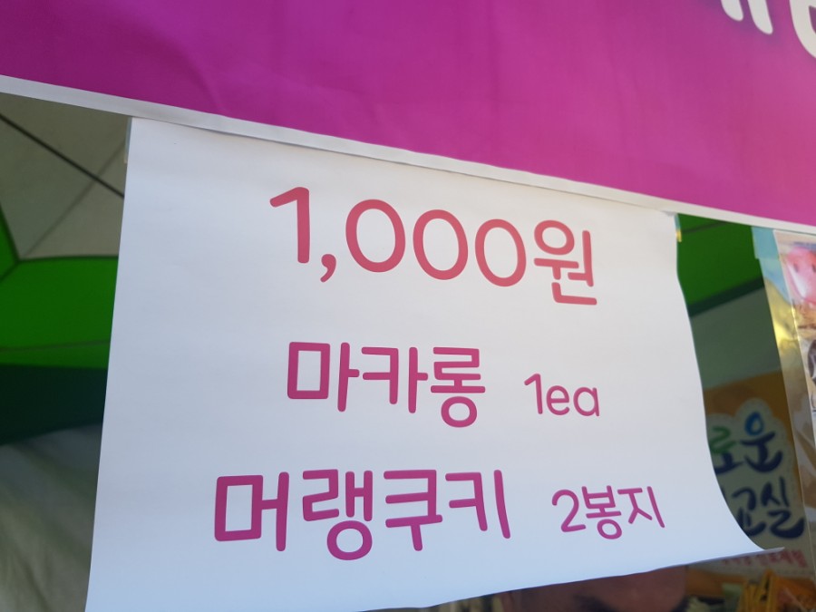 슬기로운체험교실 이미지