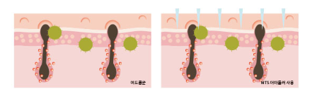 디올홈케어 이미지