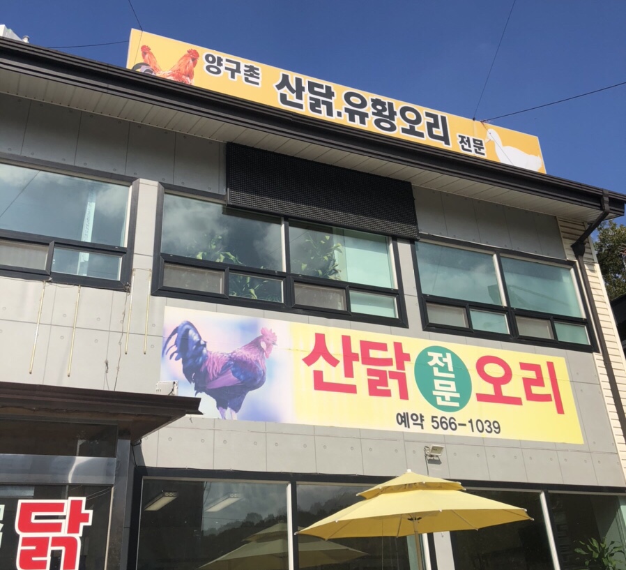 양구촌백숙 이미지