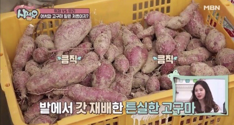 정상농원 이미지