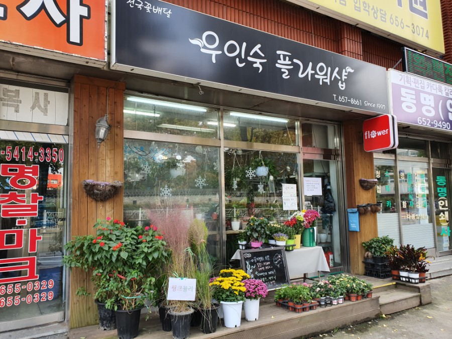 우인숙플라워샵 이미지