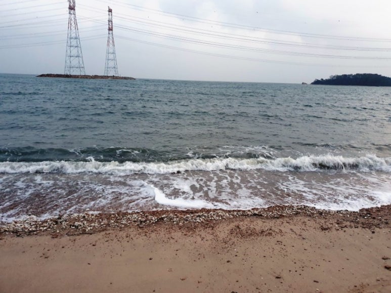 우리동네최고푸줏간 이미지