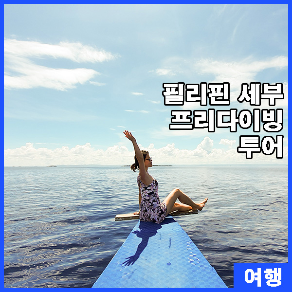 프리투어 이미지