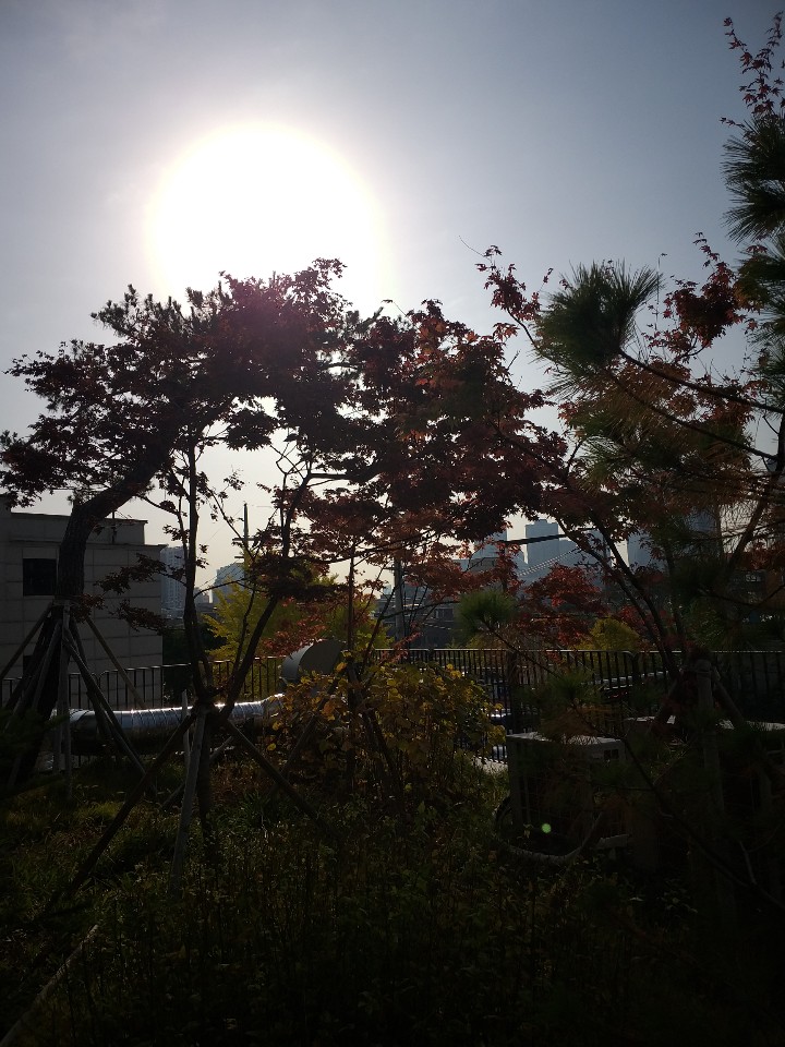 KCC아파트관리소 이미지