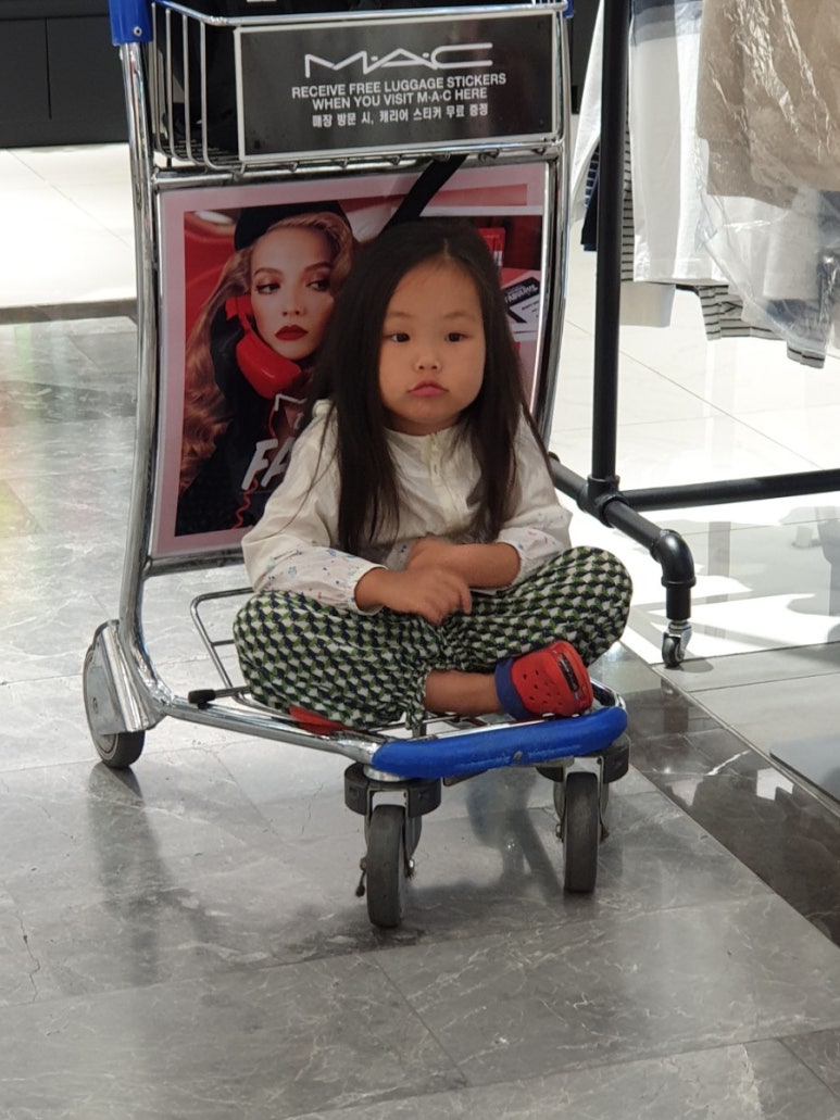 미소항공여행사 이미지