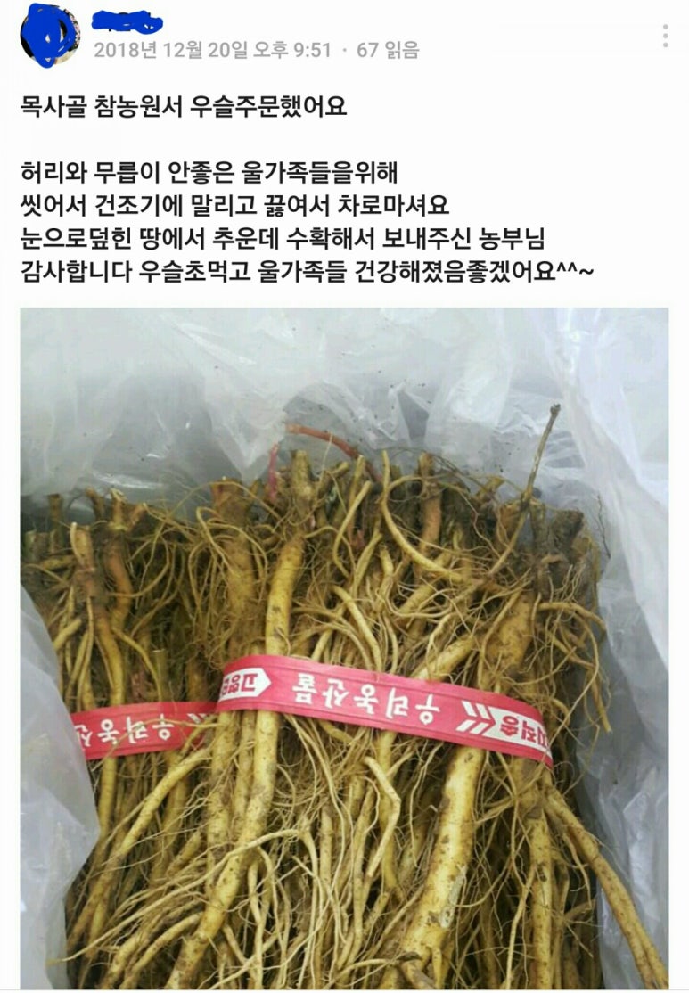 나주목사골배 이미지