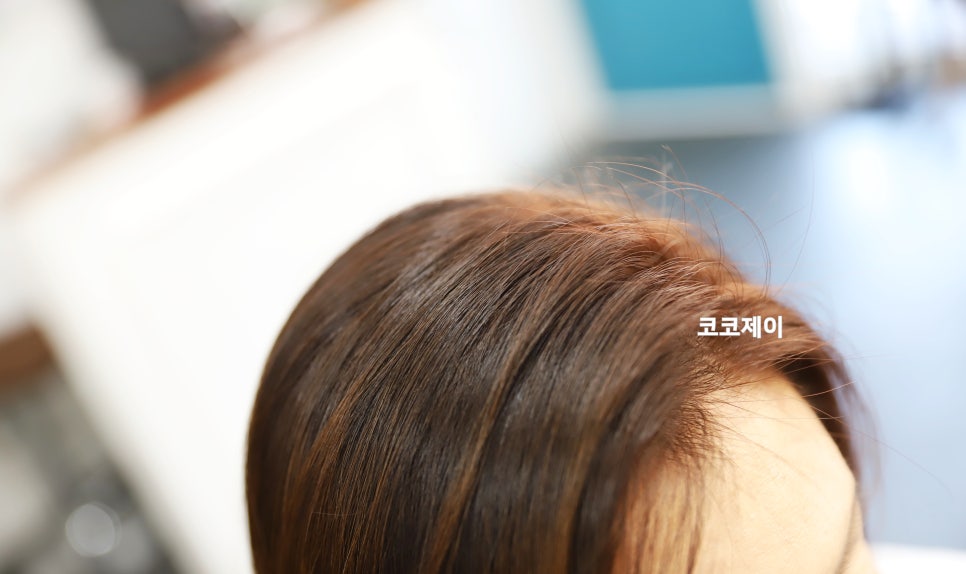 샾비아이앤 이미지