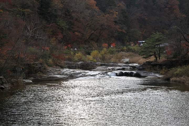 백산상회 이미지