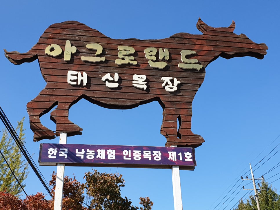 세무법인흥인 이미지