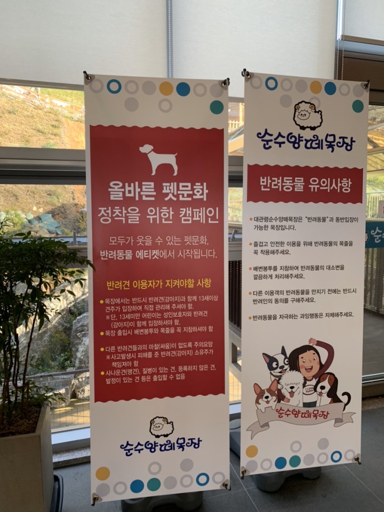 법인대관령순수양떼목장 이미지