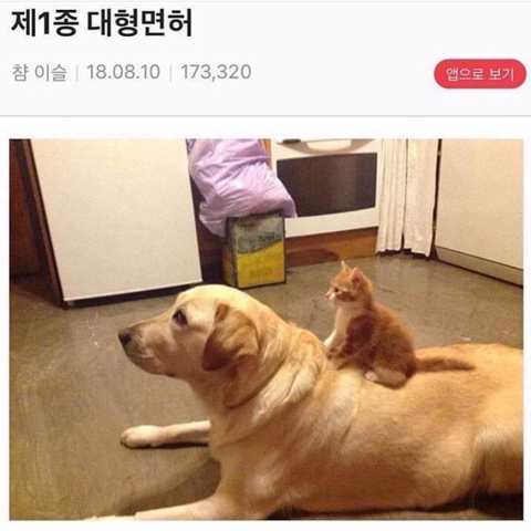 행복한찹쌀꽈배기 이미지