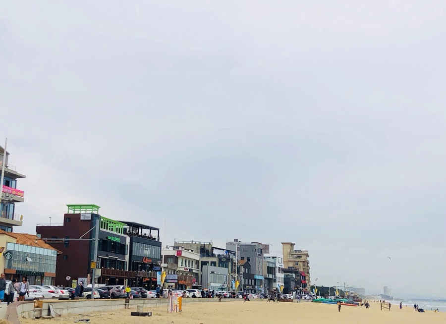 카페강릉 이미지
