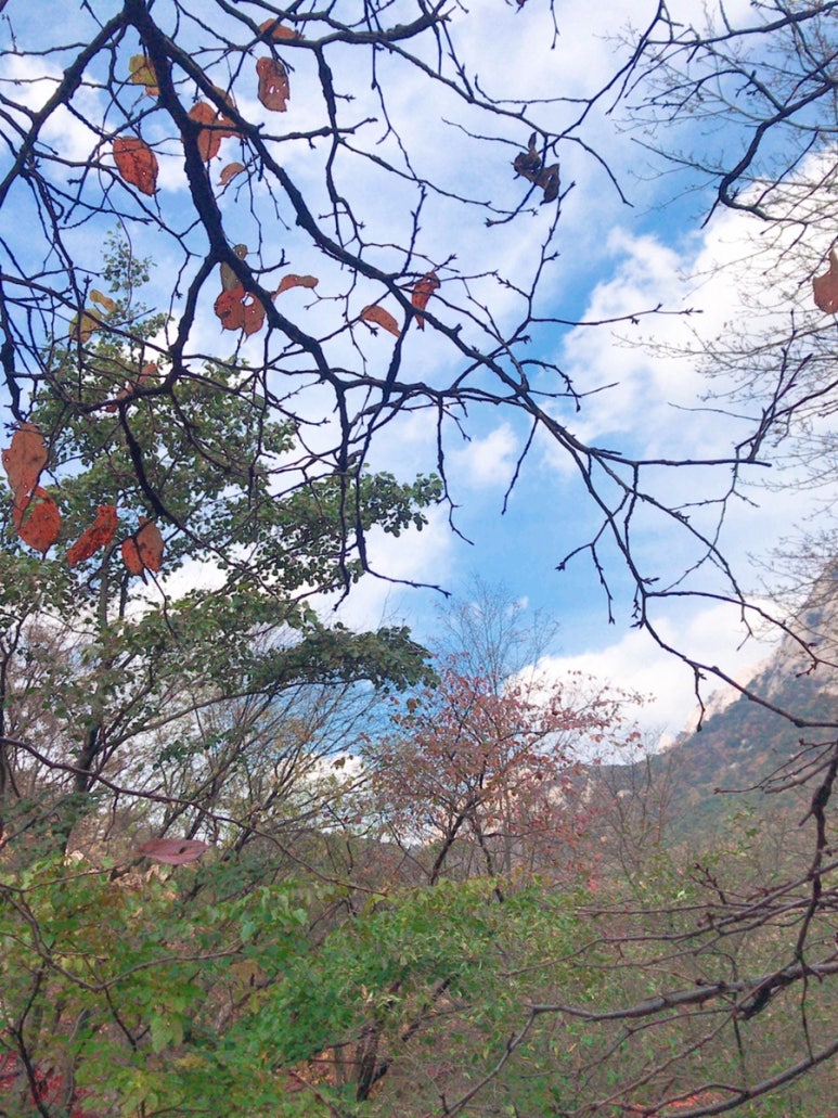 이화생고기식당 이미지