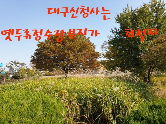 대구광역시달구벌재활스포츠센터 이미지