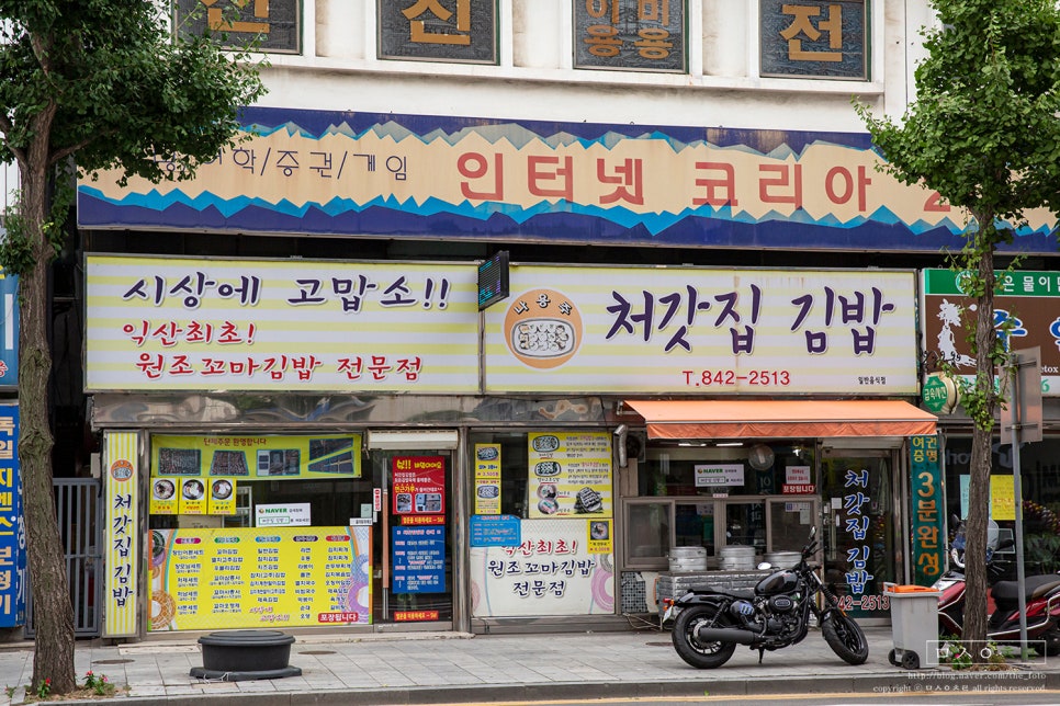 곰김밥 이미지
