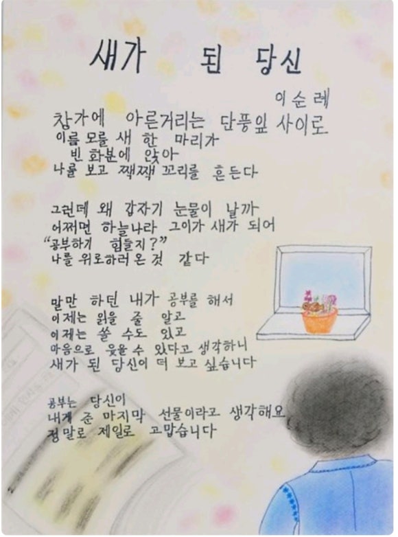 이순례 이미지