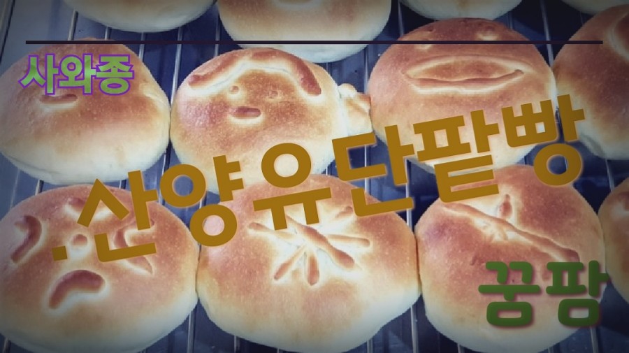 빵팜 이미지