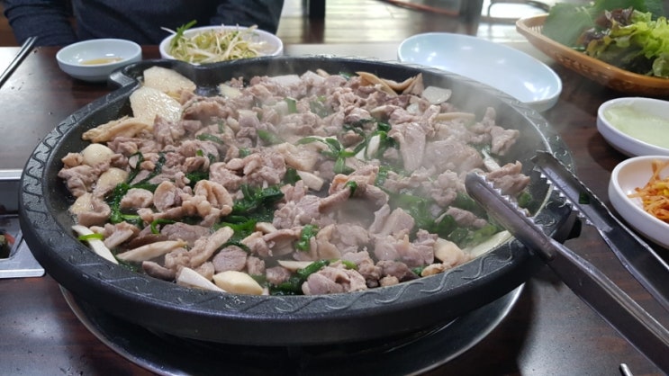 예일오리숲 이미지